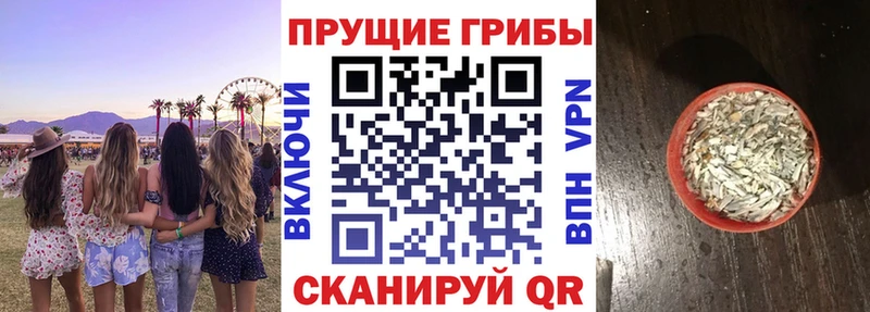 Псилоцибиновые грибы Magic Shrooms Бахчисарай